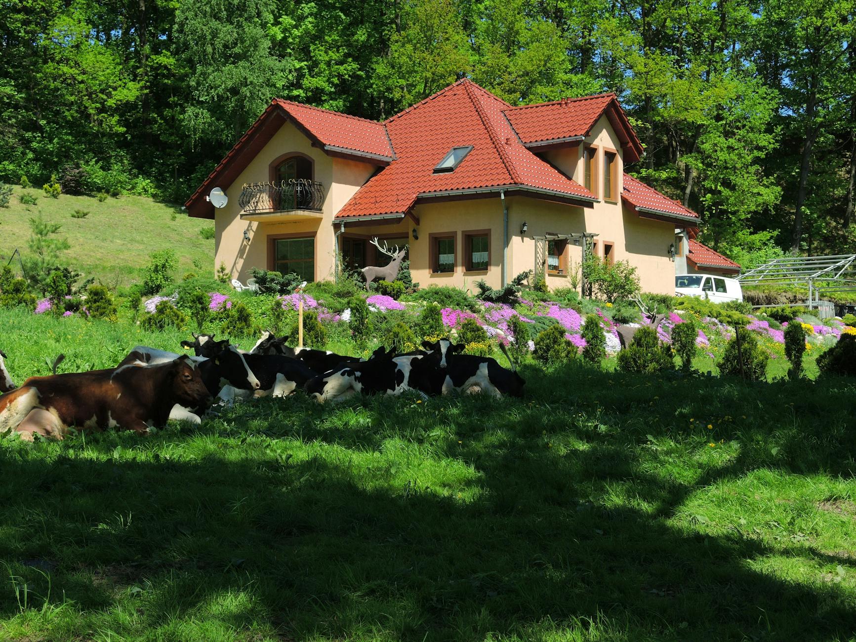 Mapa Przeworska z ikonami symbolizującymi inwestycje z Funduszy Europejskich