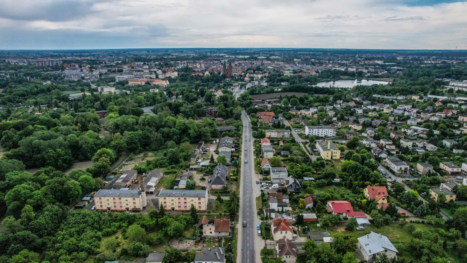 Ilustracja przedstawiająca drzewa i zwierzęta leśne, symbolizująca środowisko naturalne regionu Przeworska.
