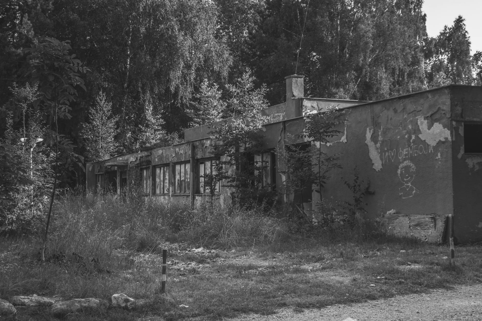 Logo miasta Przeworsk lub grafika symbolizująca posiłek dla dzieci i seniorów w ramach programu "Posiłek w szkole i w domu" w Przeworsku